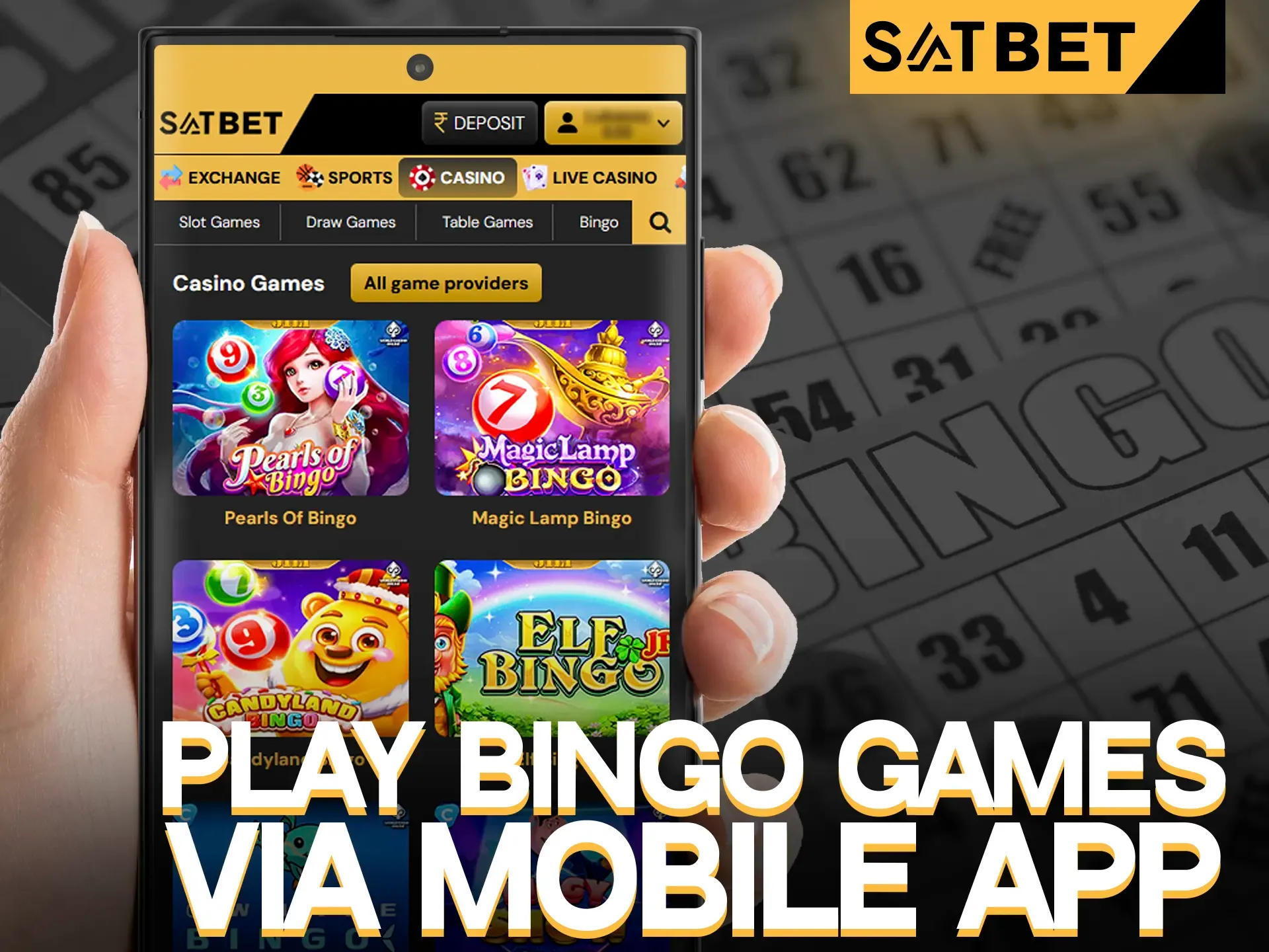 Play Bingo games via SatBet mobile app.